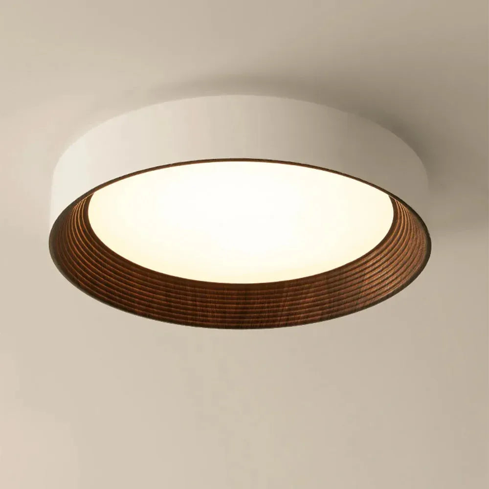 Modern Flush Mount Ceiling Light with Round Frameless Shade and Integrated LED