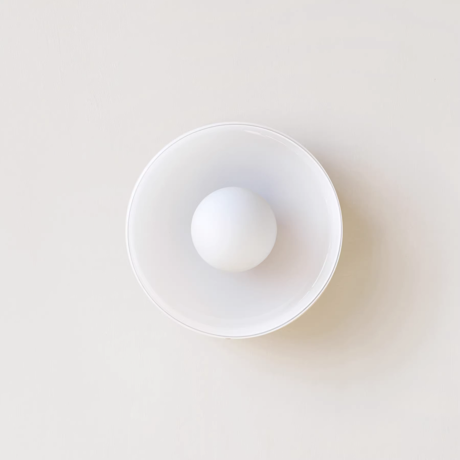Ceiling and Wall Lamp Retro Round Shade with Globe Bulb