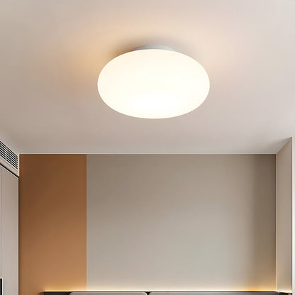 Ceiling Lamp Minimalist Modern with Oval Opal Shade and 3-Color Switch