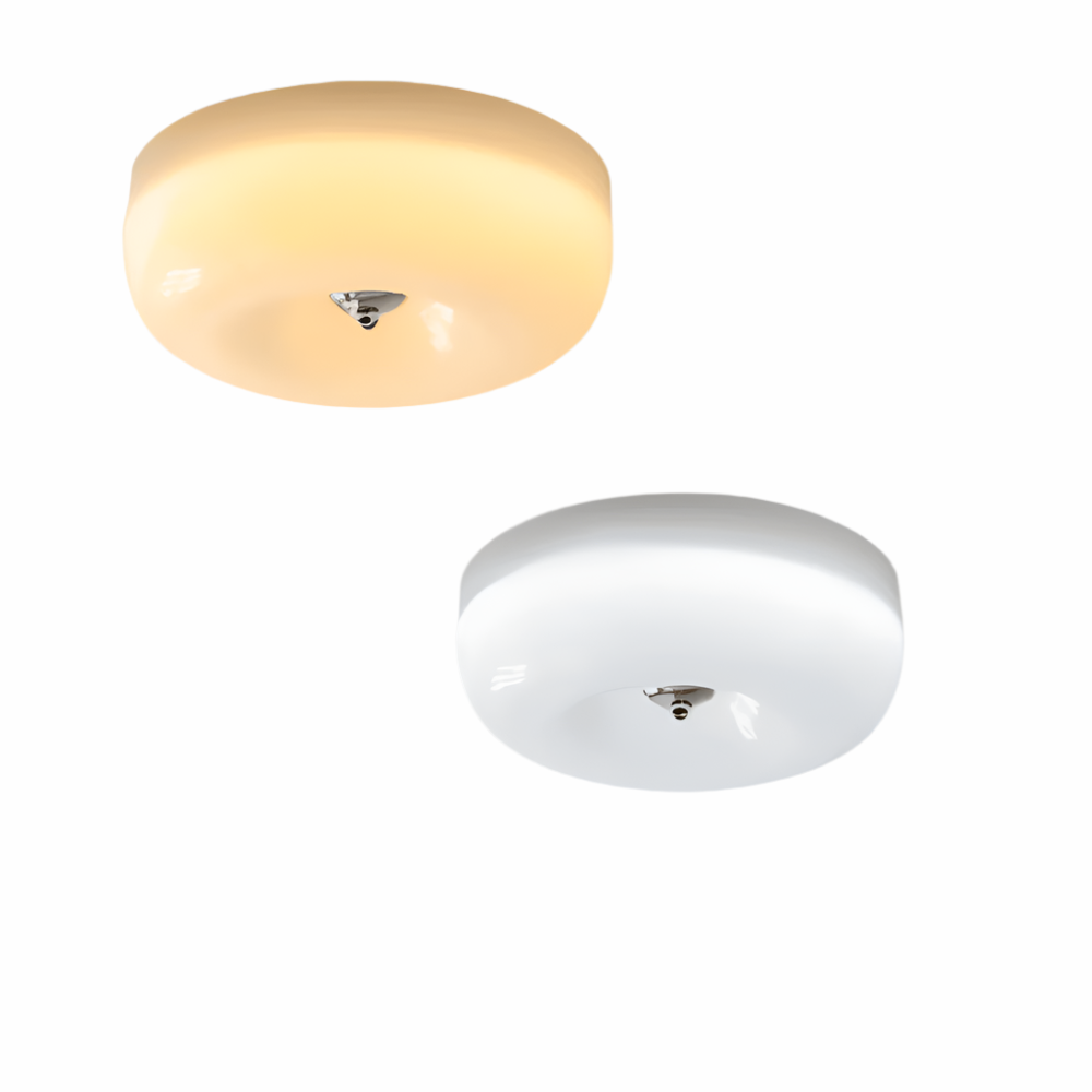 Ceiling Lamp Minimalist with Round Glass Donut Shade