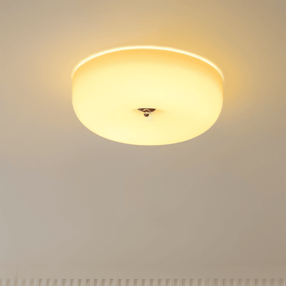 Ceiling Lamp Minimalist with Round Glass Donut Shade