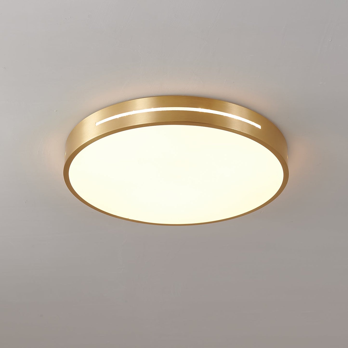 Ceiling Lamp Modern Minimalist with Brass Ring and Integrated LED