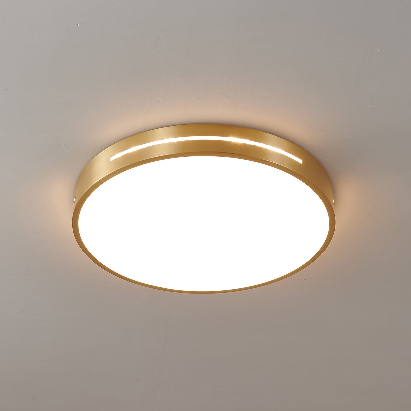 Ceiling Lamp Modern Minimalist with Brass Ring and Integrated LED