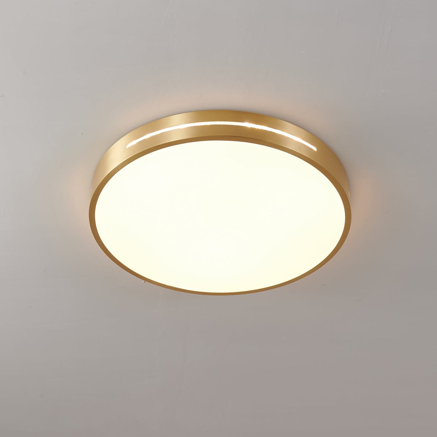 Ceiling Lamp Modern Minimalist with Brass Ring and Integrated LED
