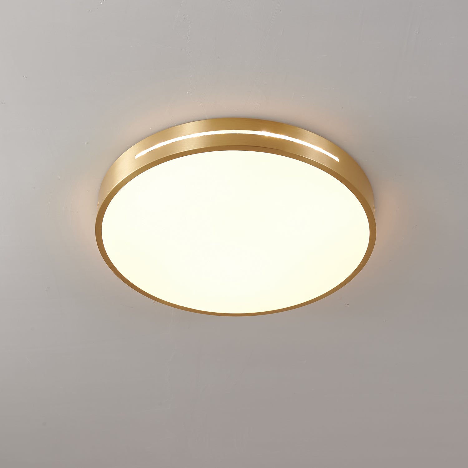 Ceiling Lamp Modern Minimalist with Brass Ring and Integrated LED