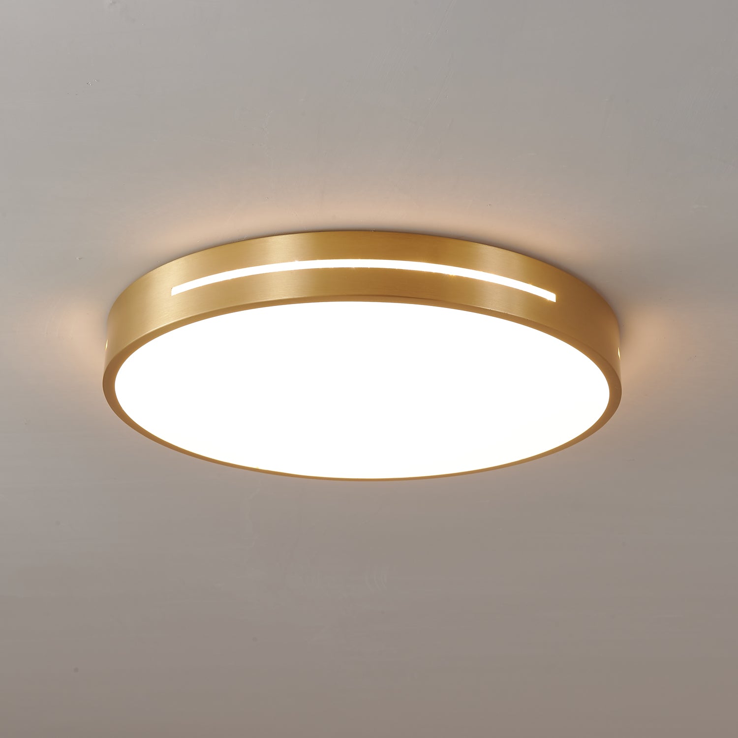 Ceiling Lamp Modern Minimalist with Brass Ring and Integrated LED