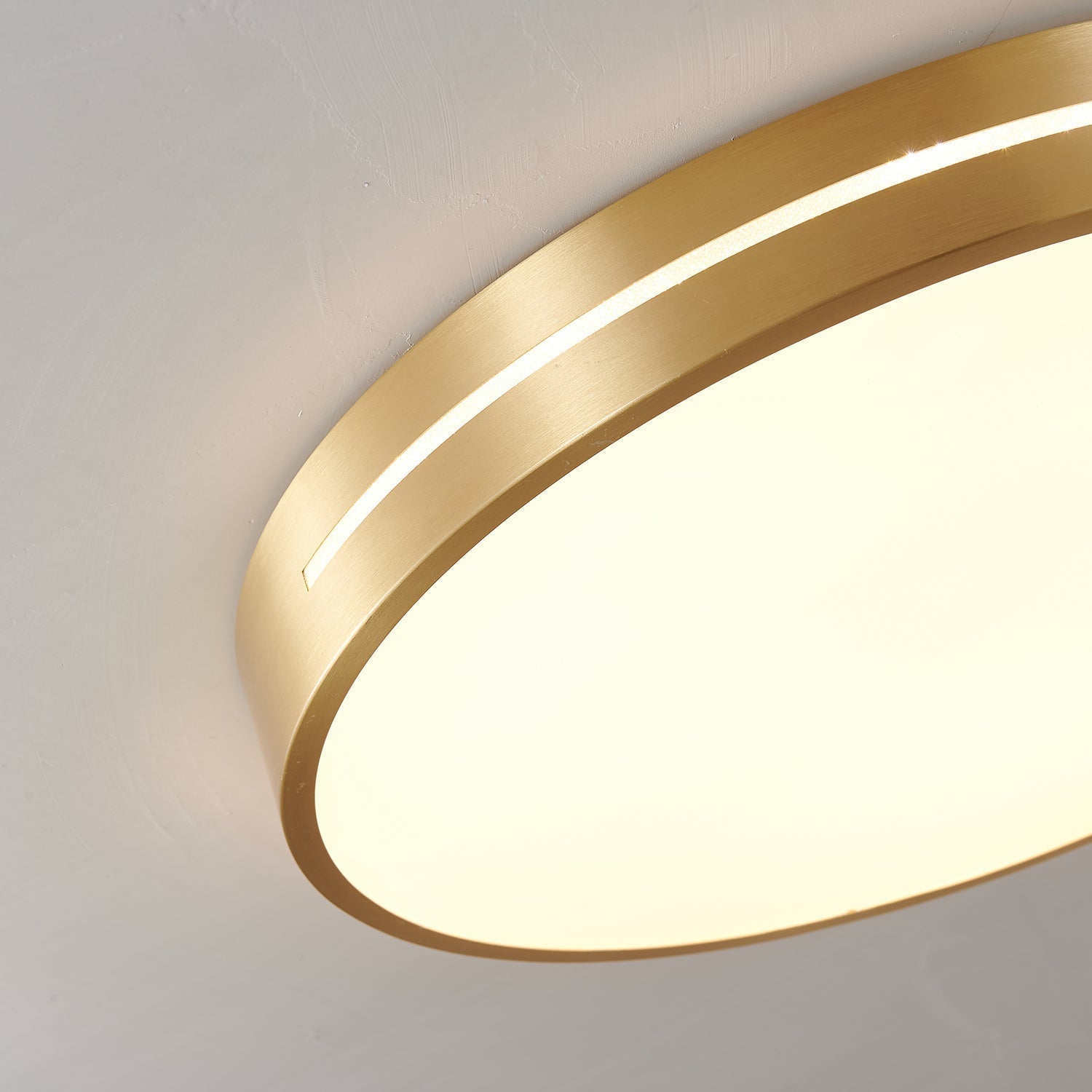 Ceiling Lamp Modern Minimalist with Brass Ring and Integrated LED