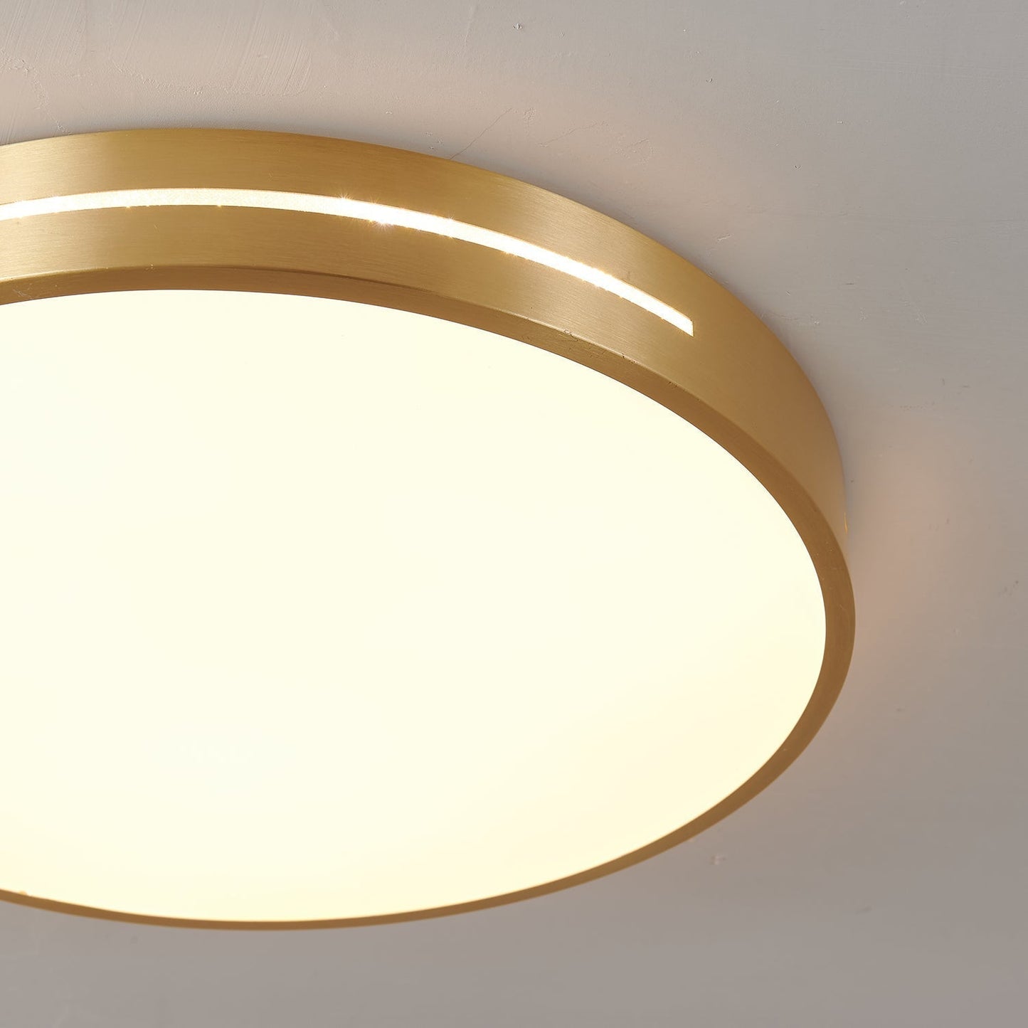 Ceiling Lamp Modern Minimalist with Brass Ring and Integrated LED