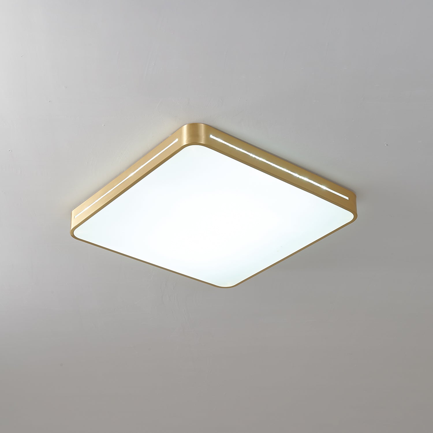 Ceiling Lamp Modern Minimalist with Brass Ring and Integrated LED