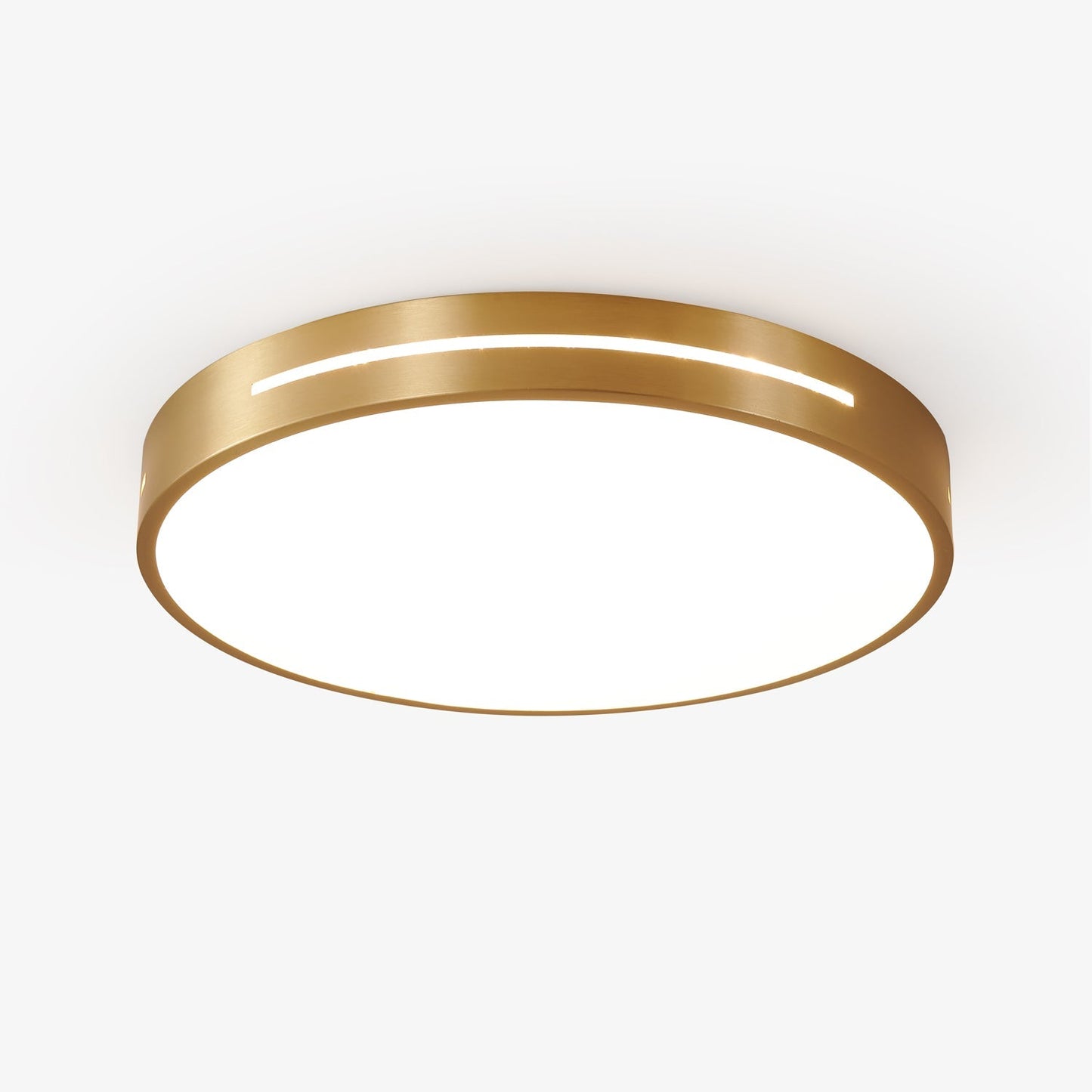 Ceiling Lamp Modern Minimalist with Brass Ring and Integrated LED
