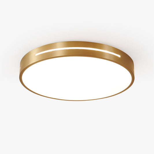 Ceiling Lamp Modern Minimalist with Brass Ring and Integrated LED
