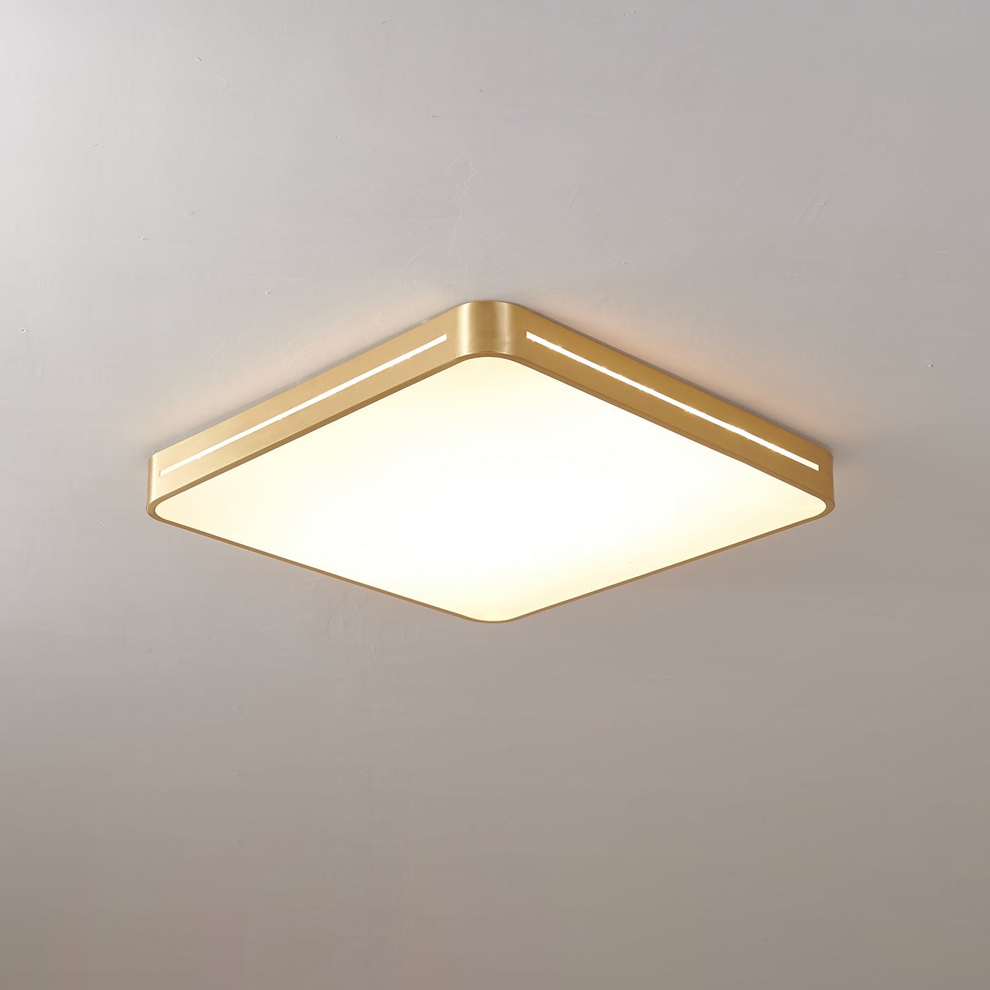 Ceiling Lamp Modern Minimalist with Brass Ring and Integrated LED