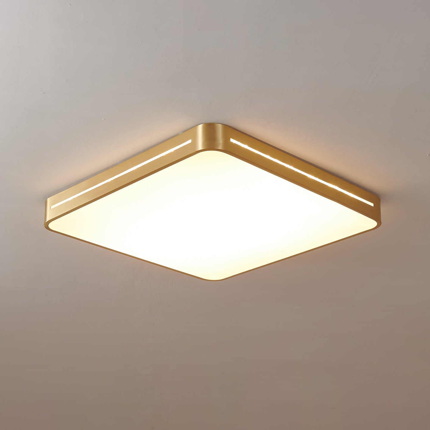 Ceiling Lamp Modern Minimalist with Brass Ring and Integrated LED