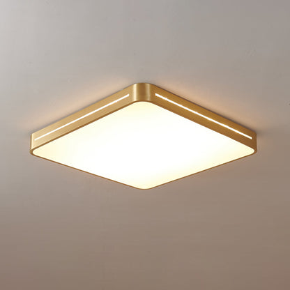 Ceiling Lamp Modern Minimalist with Brass Ring and Integrated LED