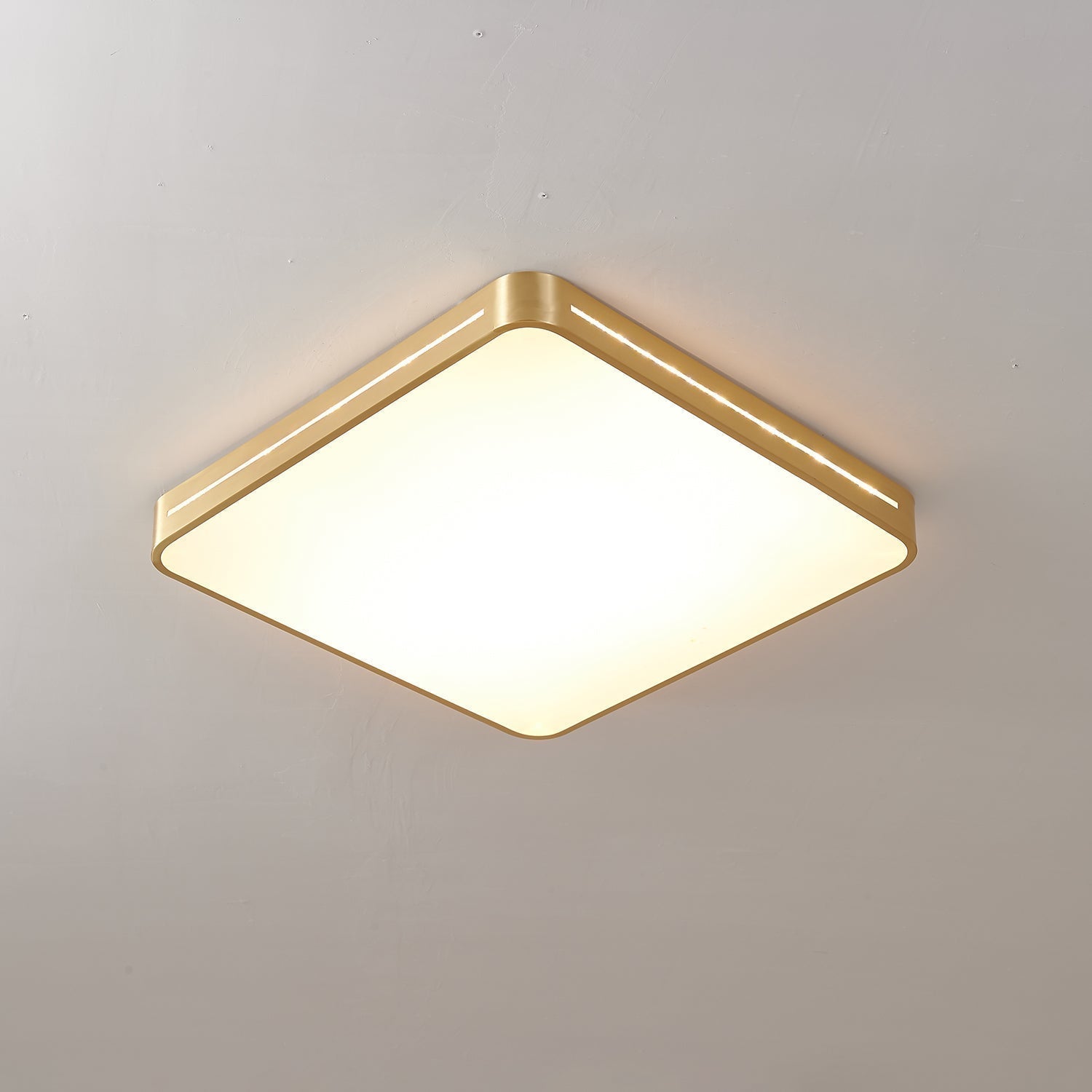 Ceiling Lamp Modern Minimalist with Brass Ring and Integrated LED
