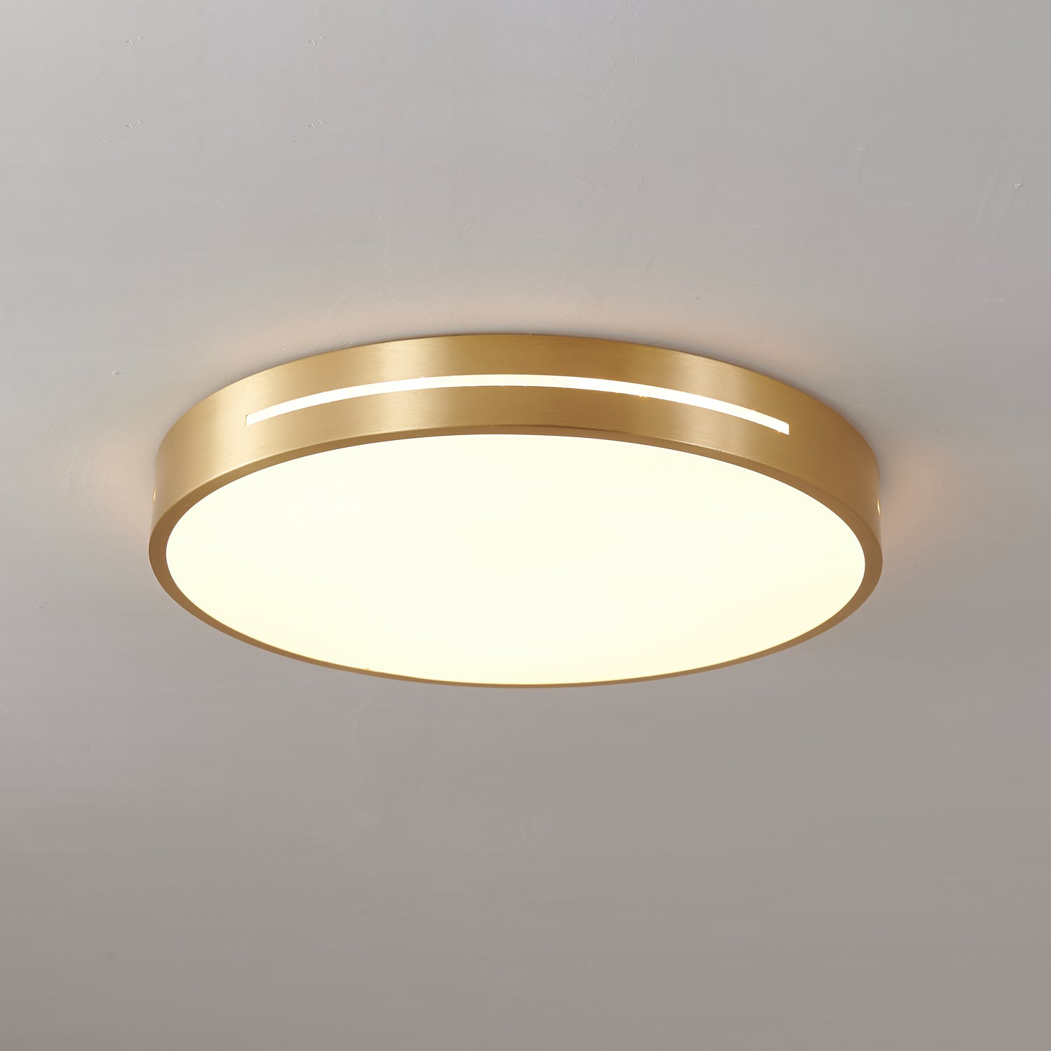 Ceiling Lamp Modern Minimalist with Brass Ring and Integrated LED