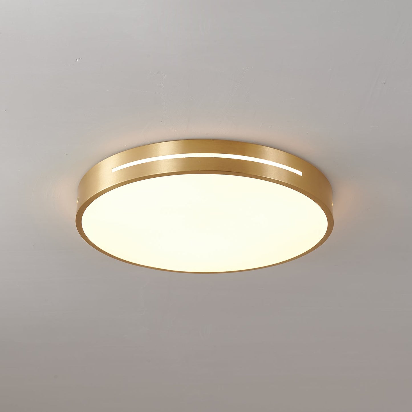 Ceiling Lamp Modern Minimalist with Brass Ring and Integrated LED