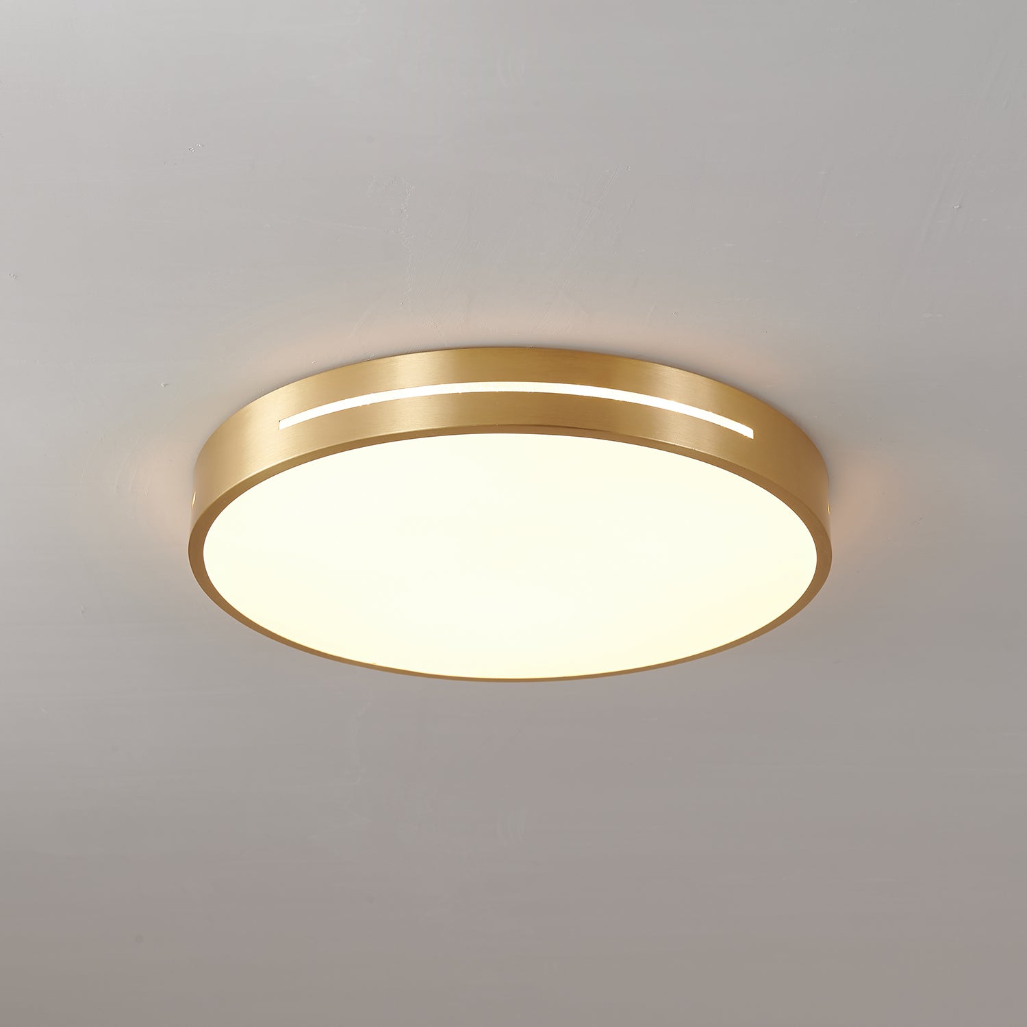 Ceiling Lamp Modern Minimalist with Brass Ring and Integrated LED