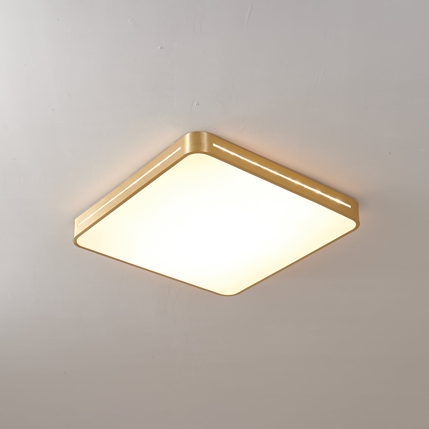 Ceiling Lamp Modern Minimalist with Brass Ring and Integrated LED
