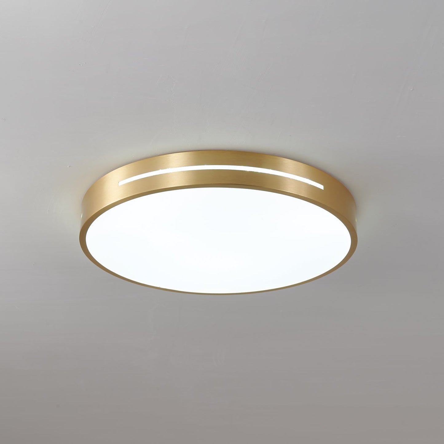 Ceiling Lamp Modern Minimalist with Brass Ring and Integrated LED