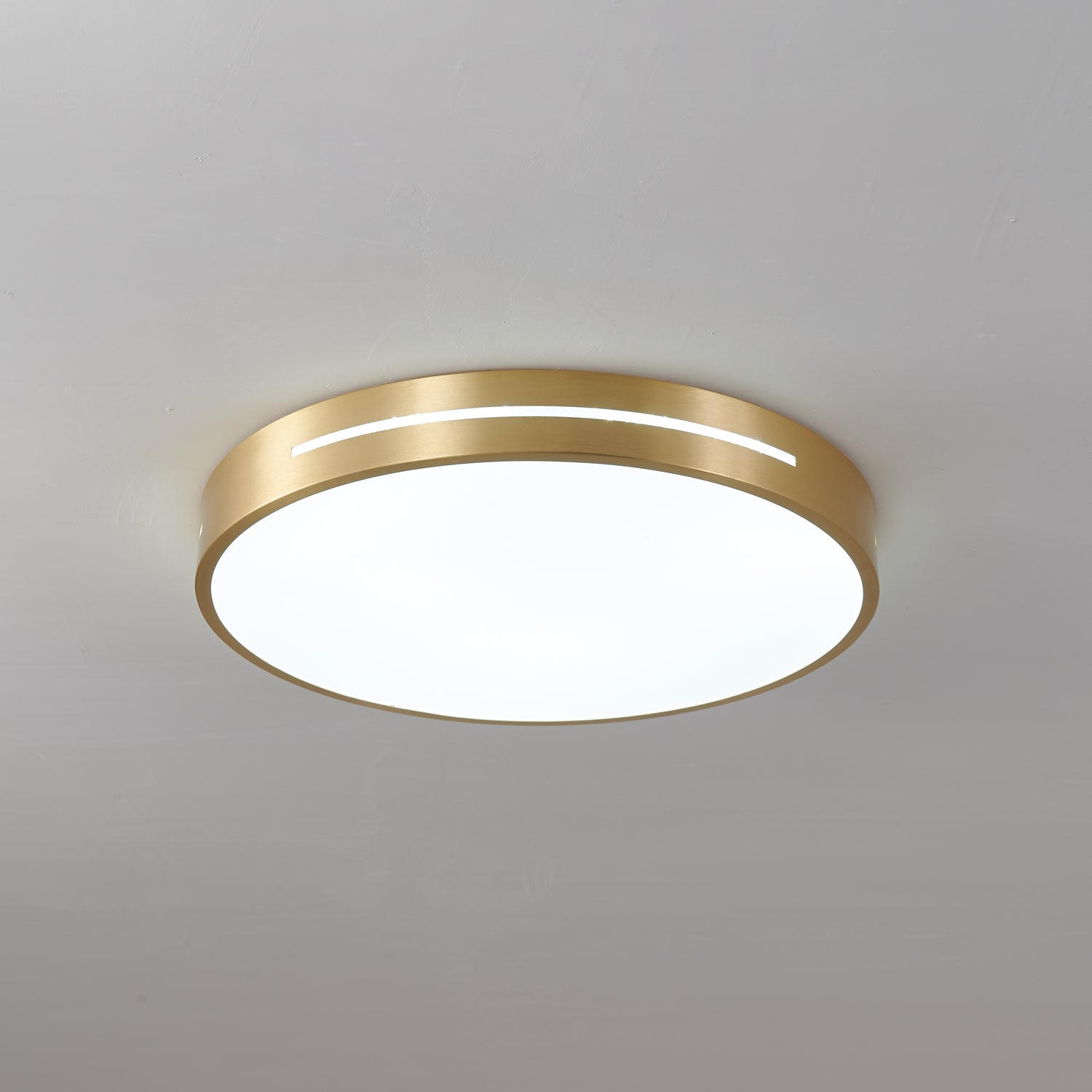 Ceiling Lamp Modern Minimalist with Brass Ring and Integrated LED