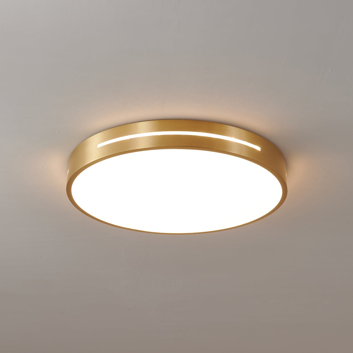 Ceiling Lamp Modern Minimalist with Brass Ring and Integrated LED