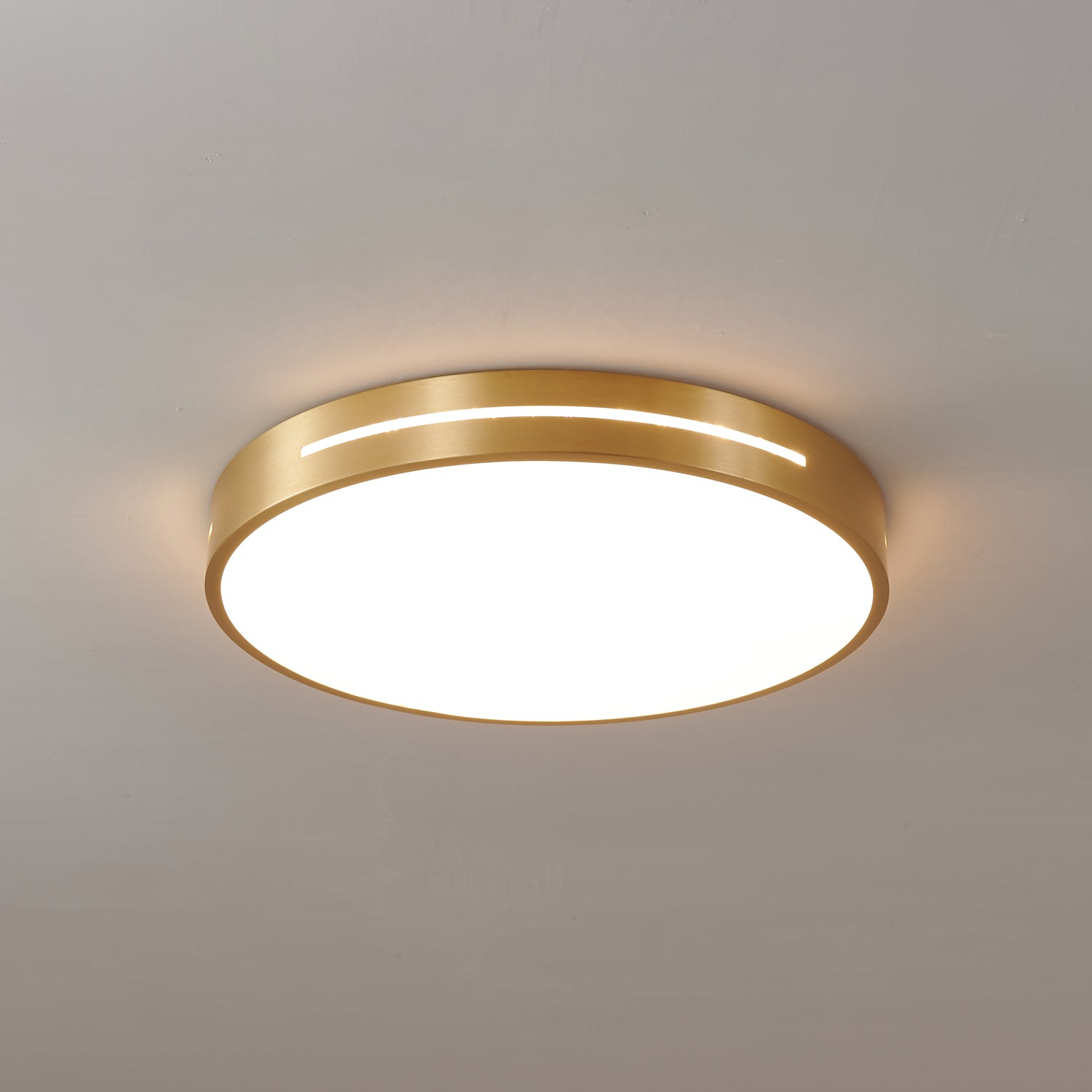Ceiling Lamp Modern Minimalist with Brass Ring and Integrated LED