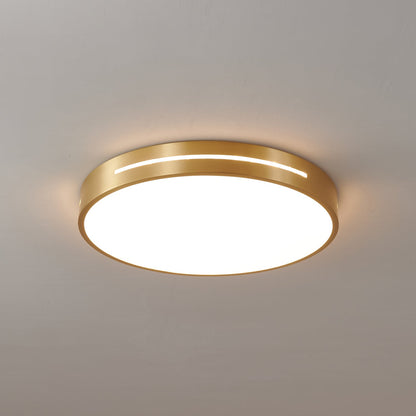 Ceiling Lamp Modern Minimalist with Brass Ring and Integrated LED