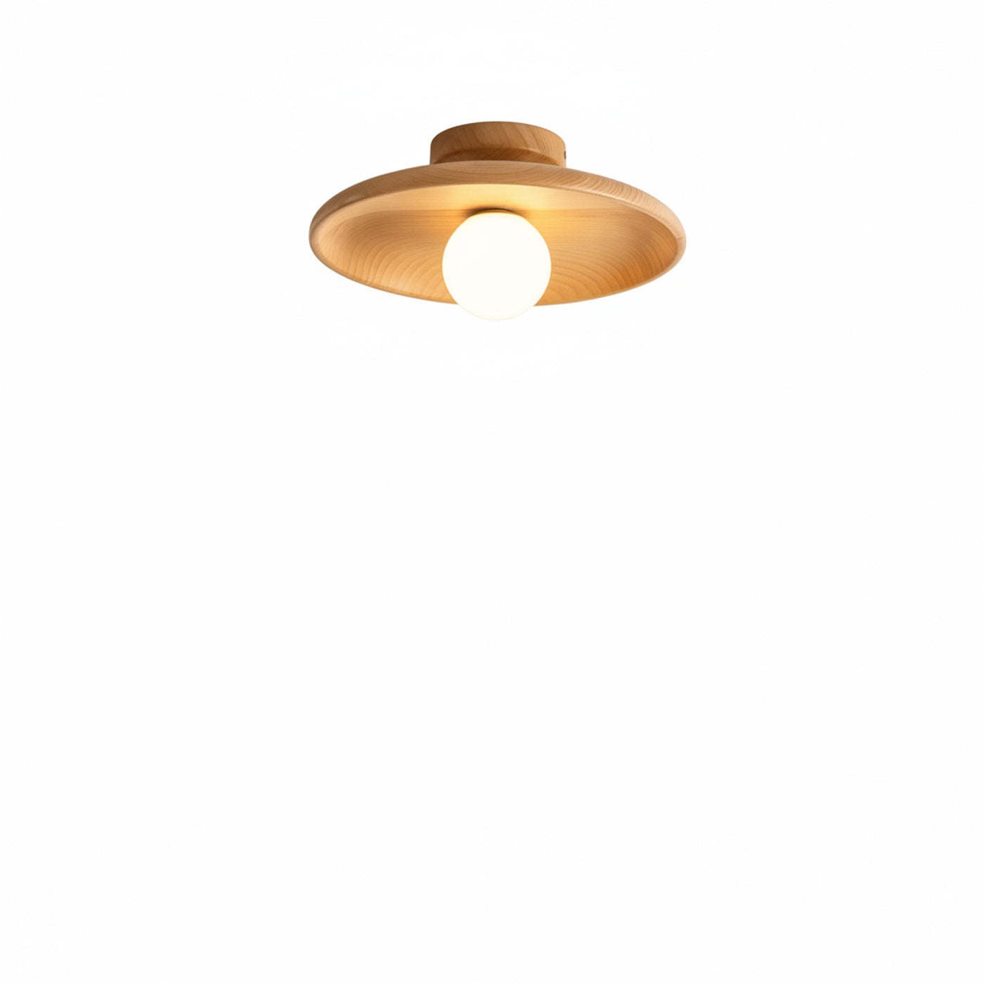 Ceiling Lamp Scandinavian with Round Disc Shade and Globe Bulb