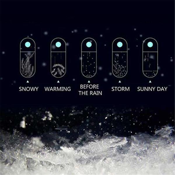 Desktop Storm Glass Weather Forecasting Barometer with Globe Bottle and Stand