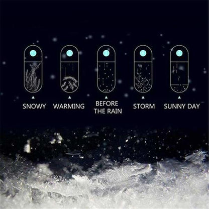 Desktop Storm Glass Weather Forecasting Barometer with Globe Bottle and Stand