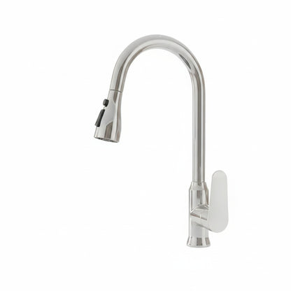 Kitchen Faucet with Pull-Out Spray Head and 360° Swivel