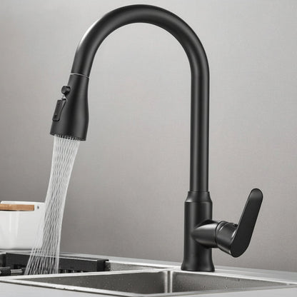 Kitchen Faucet with Pull-Out Spray Head and 360° Swivel
