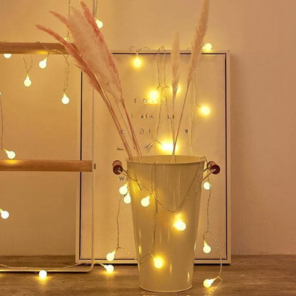 LED Fairy String Lights with Globe, Flower, Star and Snowflake Shapes for Indoor Decoration