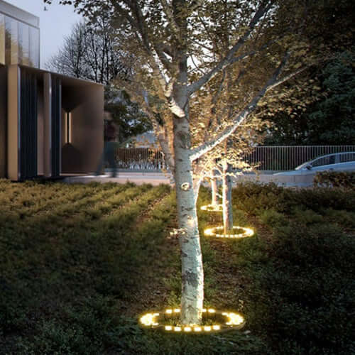 LED Tree Ring Spotlight for Outdoor Trees and Garden
