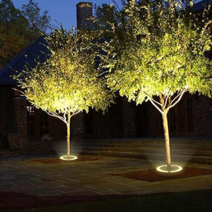 LED Tree Ring Spotlight for Outdoor Trees and Garden