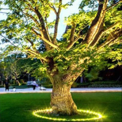 LED Tree Ring Spotlight for Outdoor Trees and Garden
