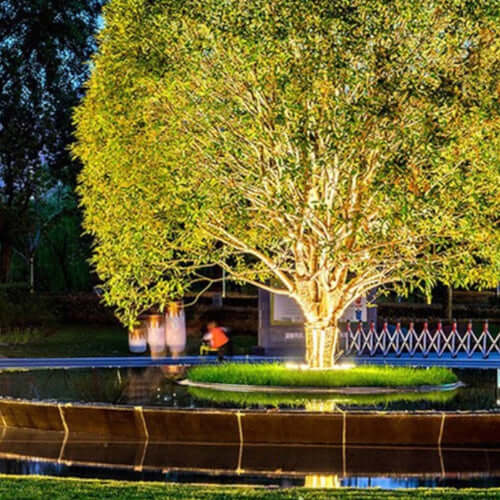 LED Tree Ring Spotlight for Outdoor Trees and Garden
