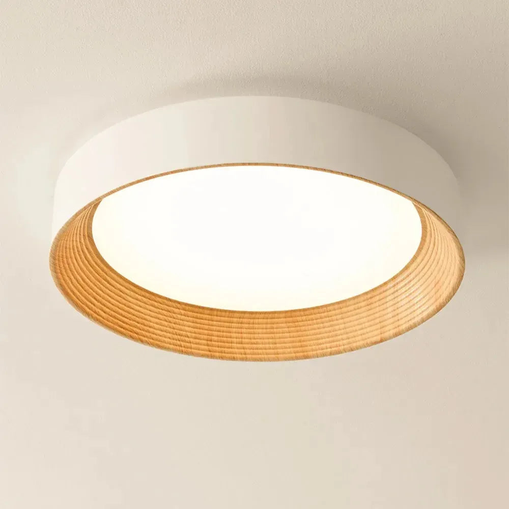 Modern Flush Mount Ceiling Light with Round Frameless Shade and Integrated LED