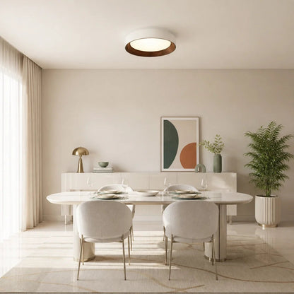 Modern Flush Mount Ceiling Light with Round Frameless Shade and Integrated LED