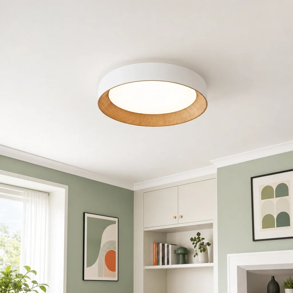 Modern Flush Mount Ceiling Light with Round Frameless Shade and Integrated LED