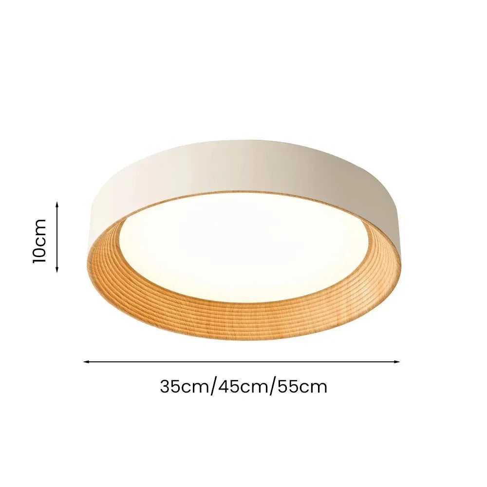 Modern Flush Mount Ceiling Light with Round Frameless Shade and Integrated LED
