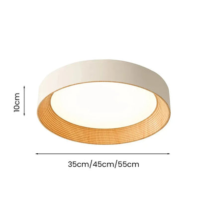 Modern Flush Mount Ceiling Light with Round Frameless Shade and Integrated LED