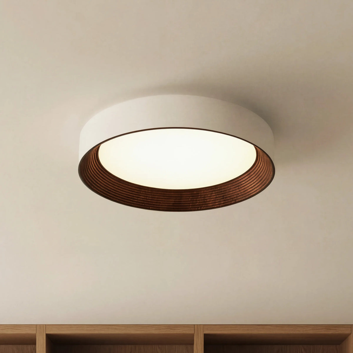 Modern Flush Mount Ceiling Light with Round Frameless Shade and Integrated LED