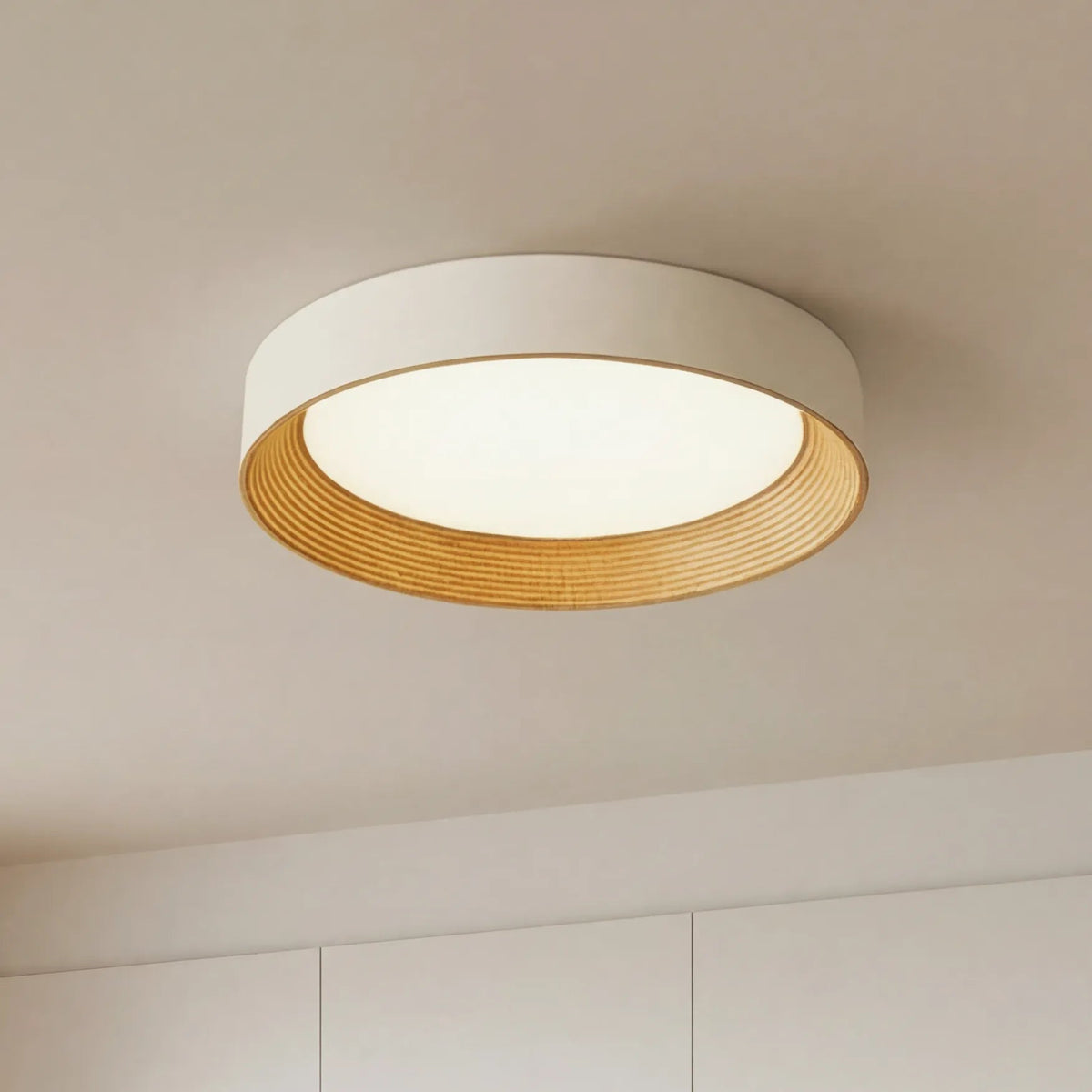 Modern Flush Mount Ceiling Light with Round Frameless Shade and Integrated LED