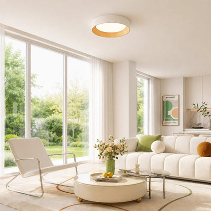 Modern Flush Mount Ceiling Light with Round Frameless Shade and Integrated LED