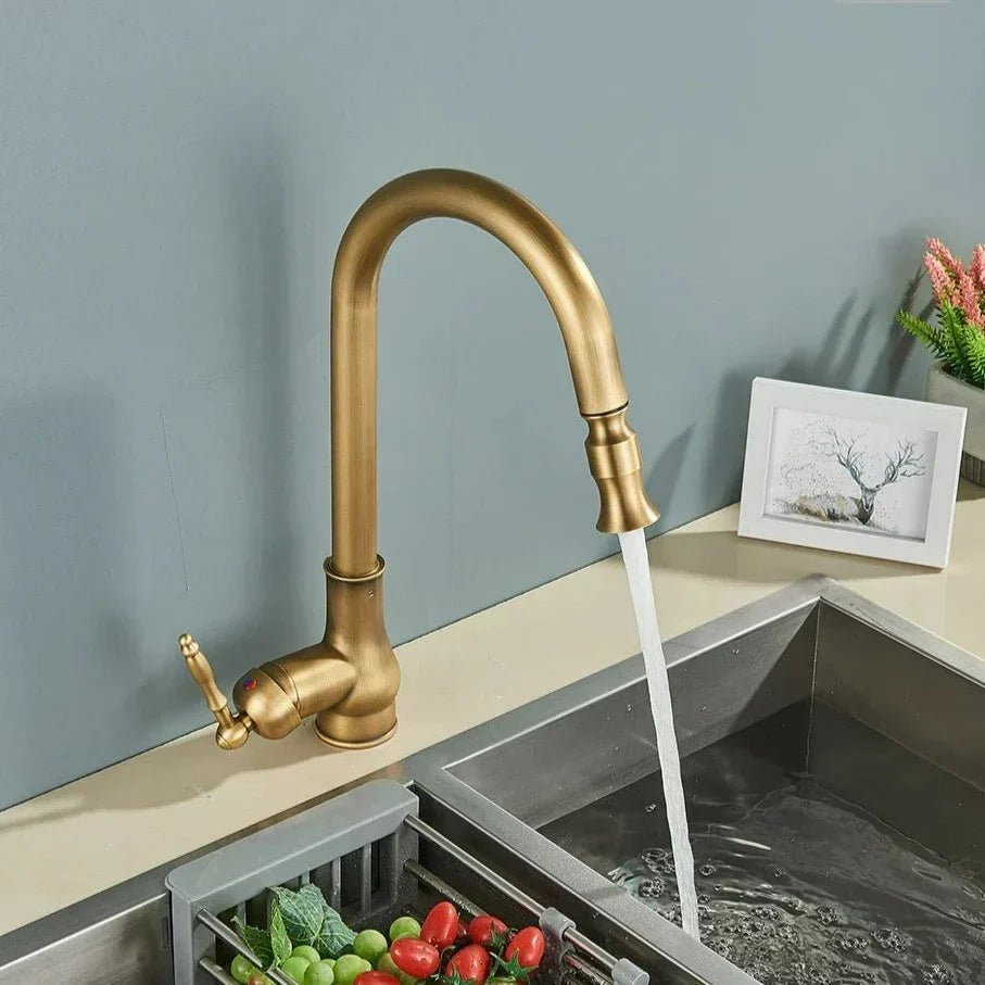 Pull-Out Kitchen Faucet with Flexible Spray Head