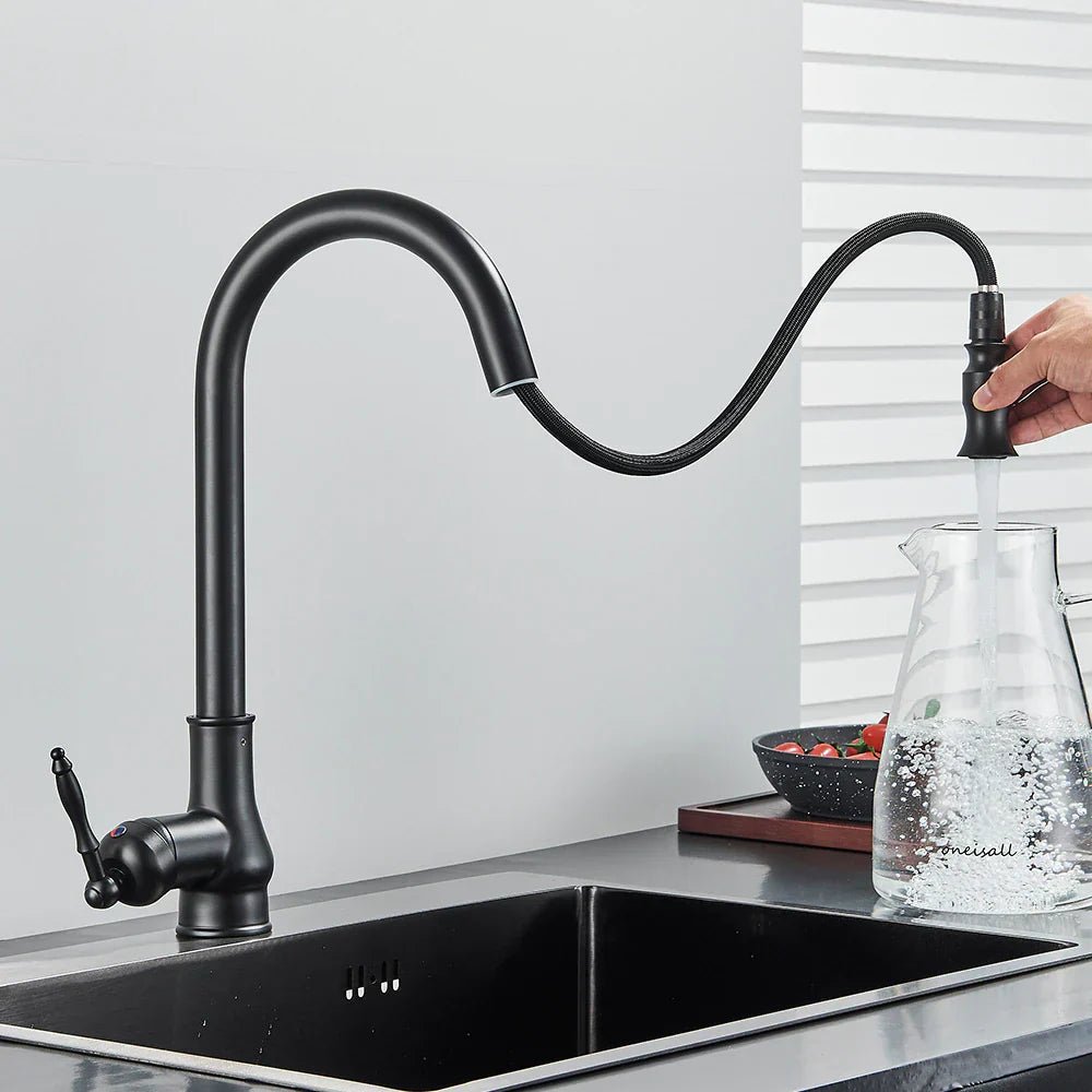 Pull-Out Kitchen Faucet with Flexible Spray Head