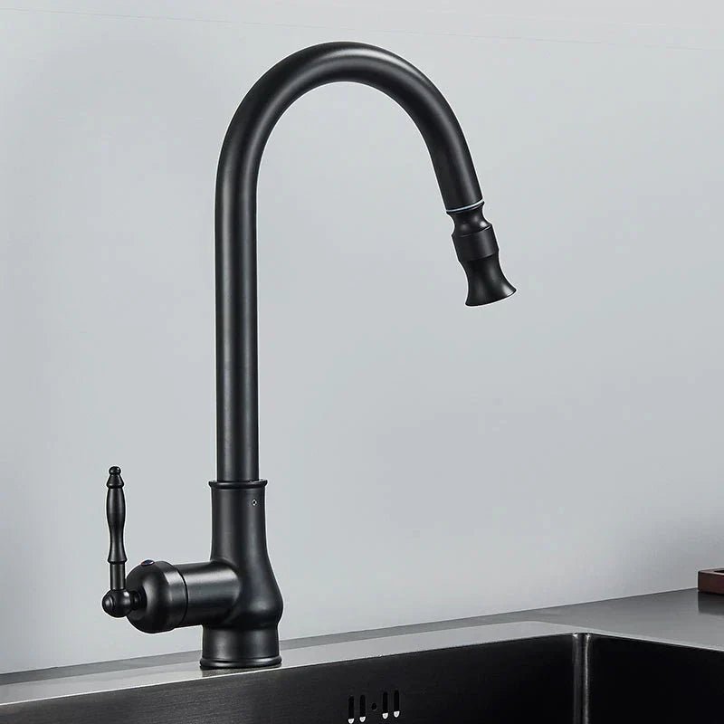 Pull-Out Kitchen Faucet with Flexible Spray Head