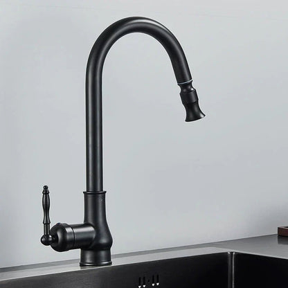 Pull-Out Kitchen Faucet with Flexible Spray Head